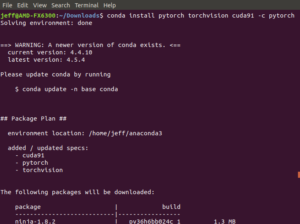 pytorch installing ubuntu conda torchvision